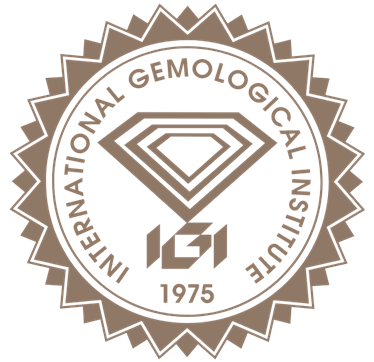 IGI Logo